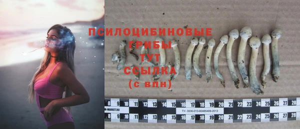 прущие грибы Алексеевка
