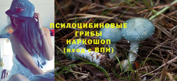 стаф Алзамай