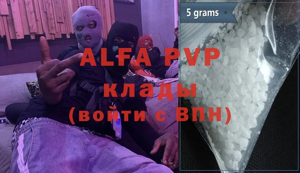 стаф Алзамай