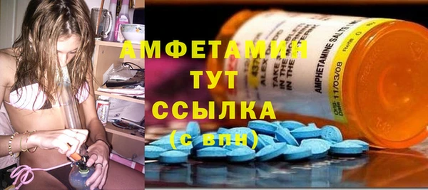 стаф Алзамай