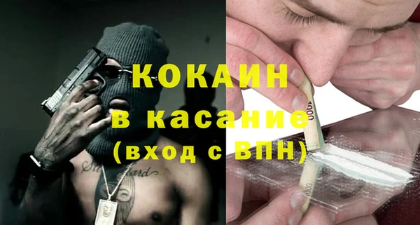 стаф Алзамай